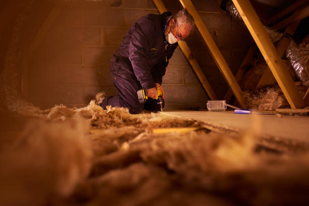 Eco-Friendly or Green Insulation Solutions in Arcadia, SC